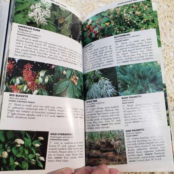 Vintage Field Guide to the Southeastern States Softcover Book - Picture 7 of 8